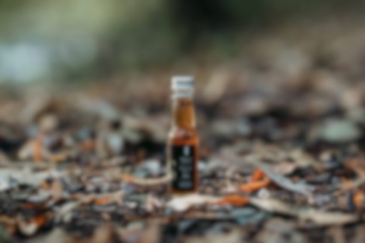 Fotografii jsme rozmazali, abychom Vám nepokazili překvapení - na ostrou fotografii se můžete těšit v prosinci.
